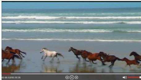 ����ֱ��