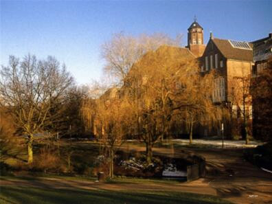 ��������D����DƬ�ָ��������Ōm��