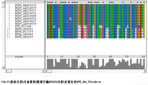 clustalx���dʹ�ý̌W