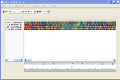 clustalx���d���bʹ�÷����̌W