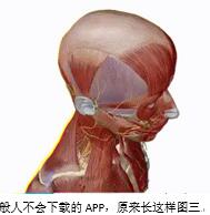 �D���������d��APP���L�@��