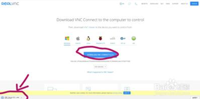 �D��VNC�İ��b�O��