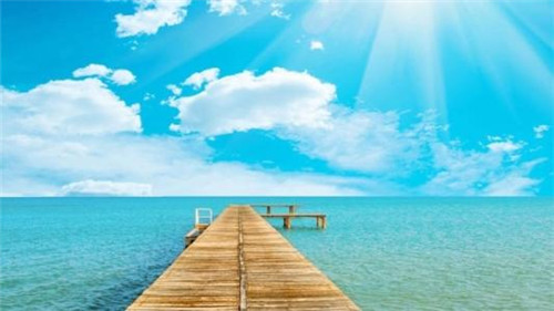 �D�����I��ҌW�����g��������P�̳�