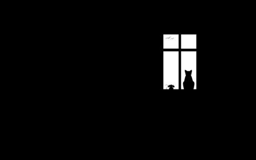 �D���R���Z��ָ��ϵ�y֪����