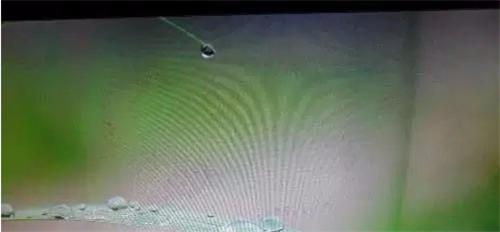 �D����X�����Α�r��֪��ʲôԭ��ͻ�������ô�k