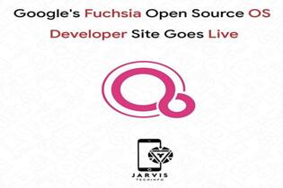 �D���ȸ���ϵ�yFuchsia�پW�Ͼ�