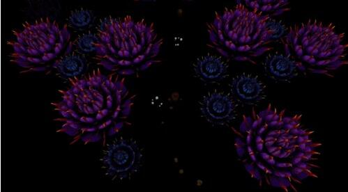 �D��һ��Ϟ�T�������ọ́�Ϟ�T��