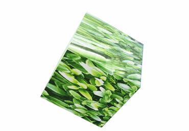 �D��Office2019