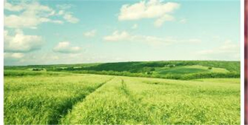 Centos����RPM��ʽ���bMYSQL5.5�̳�