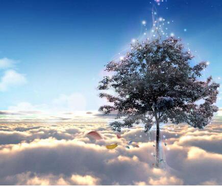 ��X���}������ô�O��