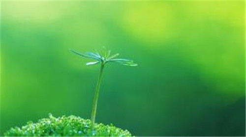 �Pӛ����X�\(y��n)�к��������̳�