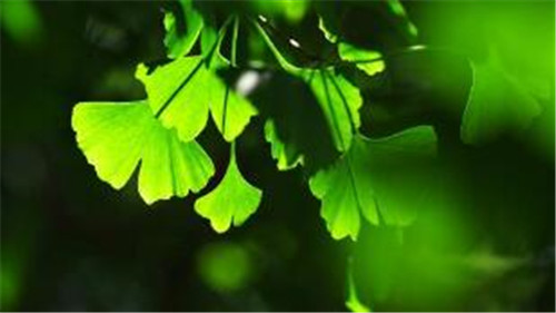 �Pӛ����X�\(y��n)�к��������̳�