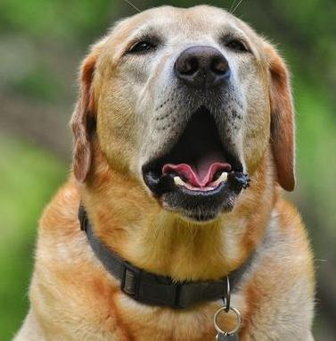 �D�������Z��