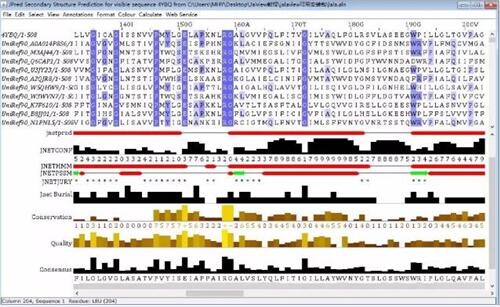 �����бȌ�����