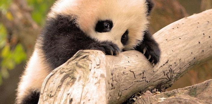 ��������ڼ�