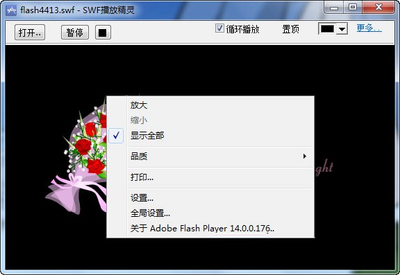 swf���ž��`�ٷ��氲�b�̳̼�ʹ�ý�B