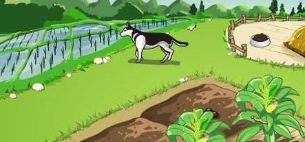 QQ�r����켰�r���������ӽ�B