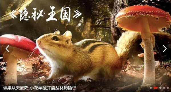 CBox��ҕӰ�����ӑB����Ҋ���}