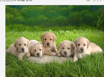 ��ôʹ��wps���D