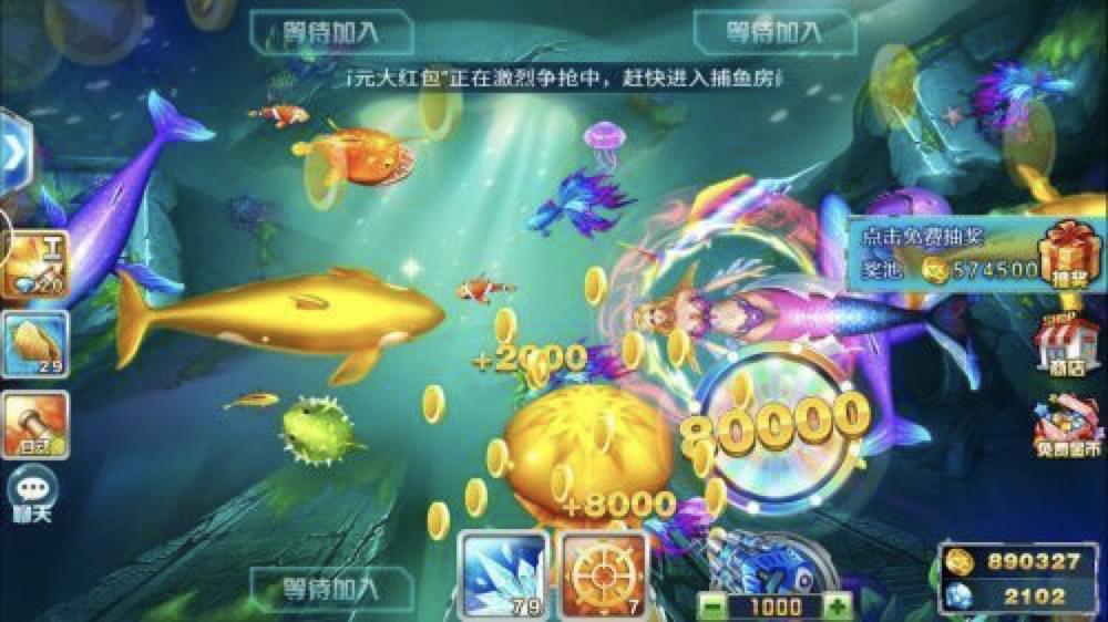 qq���~���