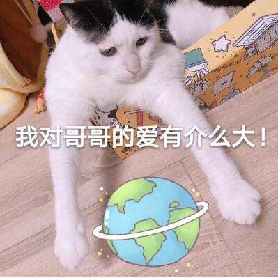 ip��ַ���Q���ͶƱ ���V����εēQIP����