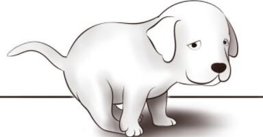 ���D�����d �L�Dܛ��߀�����@ô��