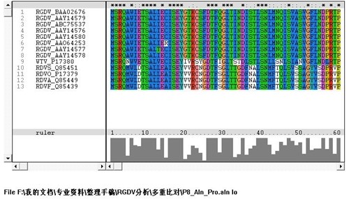 �����бȌ�����clustalx���d���b