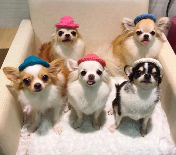 ����ؐ���挙�����d ����I�Bһֻ3D������ӹ�����