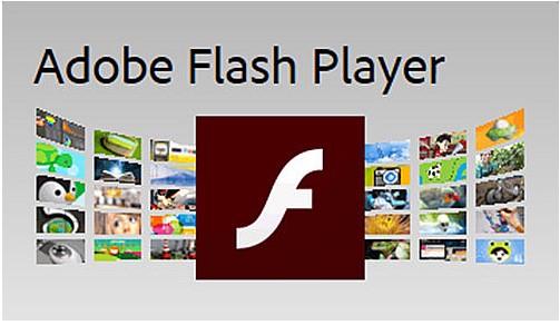  Adobe Flash Player���d����
