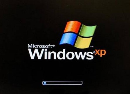 Windows XP ����̖������̖�����d����