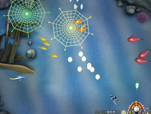 QQ���~����Α���