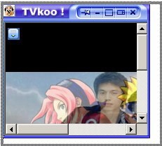 P2P��ý�w����ܛ��TVKoo���dʹ�ú���