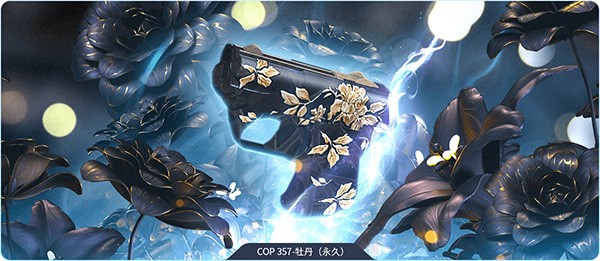 CF��Խ�����ֹٷ��湦�����c��B