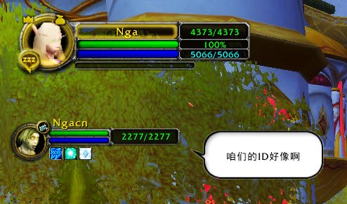 ħ�F���_Bigfoot���ʹ�ü���