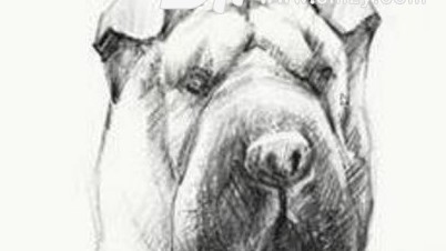 ArtRageʹ�÷���