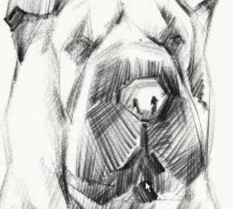 ArtRageʹ�÷���