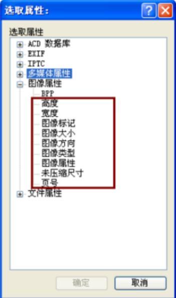 acdsee���Ӹ��������x헵ķ�������