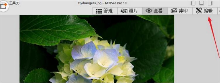 ʹ��acdsee�M�о�݋�DƬ��Ԕ�����E