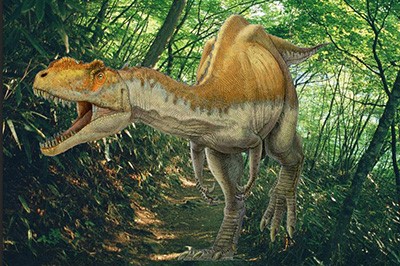 Photoshop CS4���DƬ���뱳������