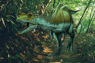 Photoshop CS4���DƬ���뱳������