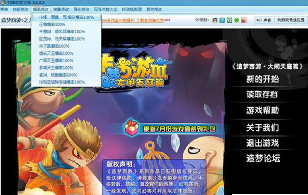 tgs�����ʹ�÷���