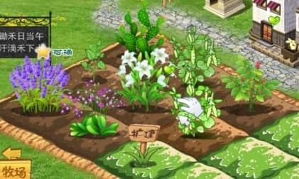 QQ�r�����ܛ������͹��ܽ�B