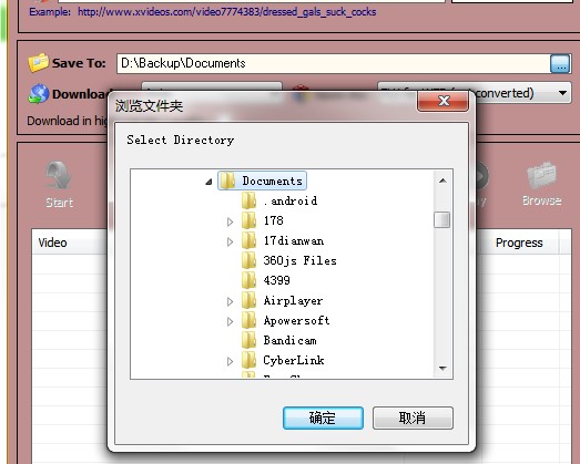 XVideos Video Downloader����ʹ�ý̌W