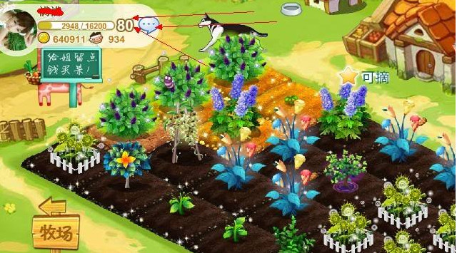 QQ�r�����С���ֹ��ܽ�B