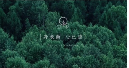 �DƬ���ֹ���ʹ�÷���