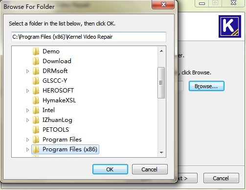 Kernel Video Repair�ļ��ޏ͹�����X��D�İ��b���E