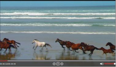 ����ֱ��ܛ�����ܽ�B