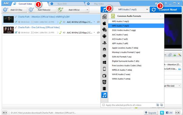 Any Audio Converter���b�̳�