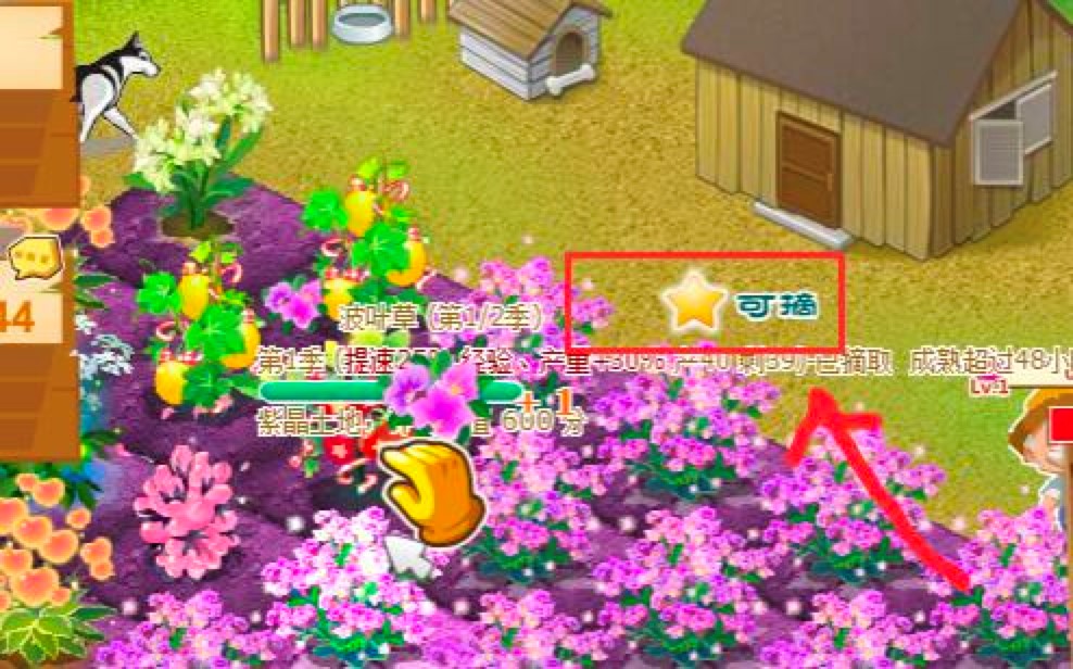 QQ�r����졶QQ�r�����Č��I�o���������M���d