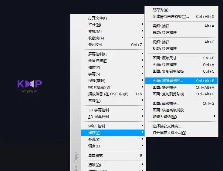 KMPlayer�������؈D���ɼ����(xi��ng)�߼�(j��)�O(sh��)�÷�����B